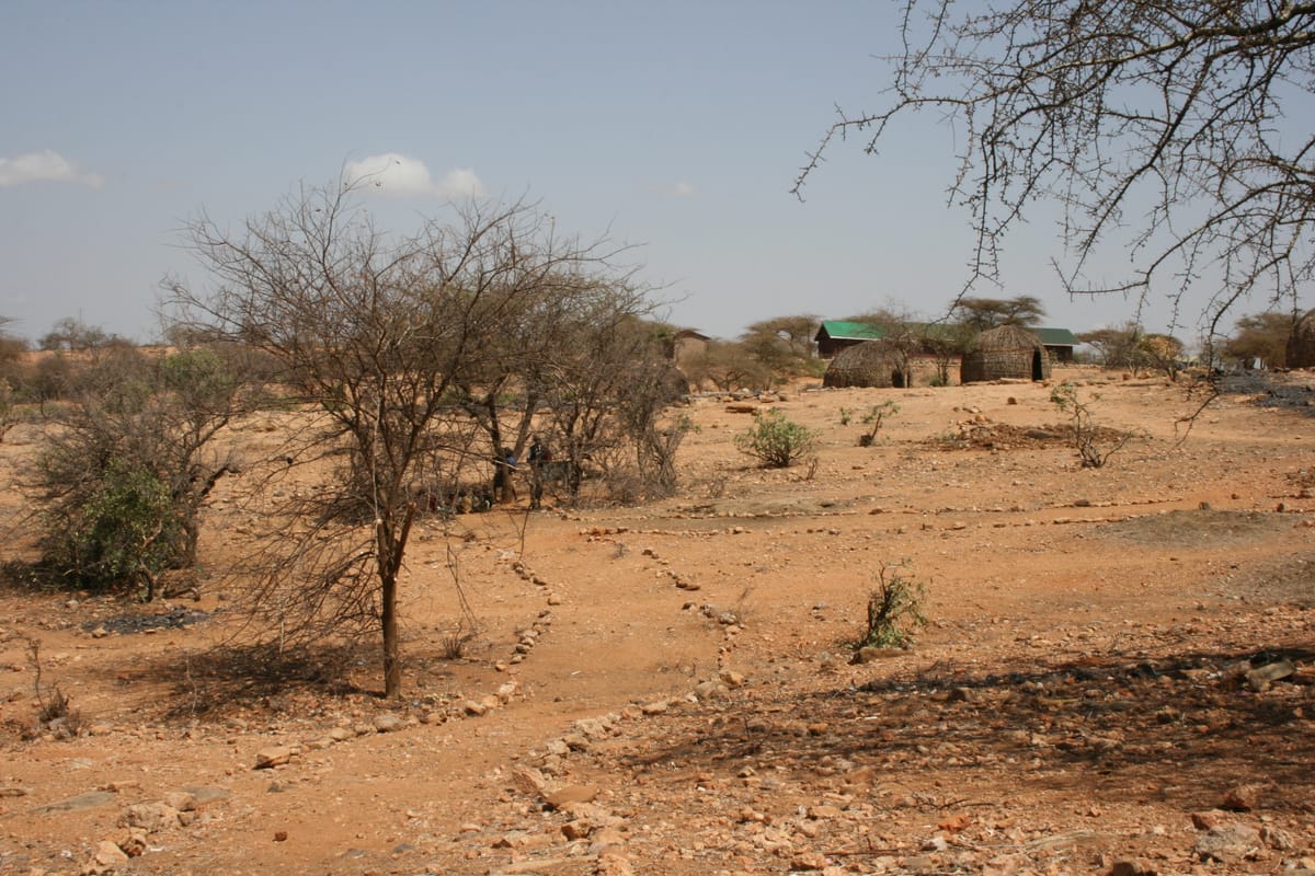 A dusty path marked by stones weaving to a collection of temporary stick buildings.