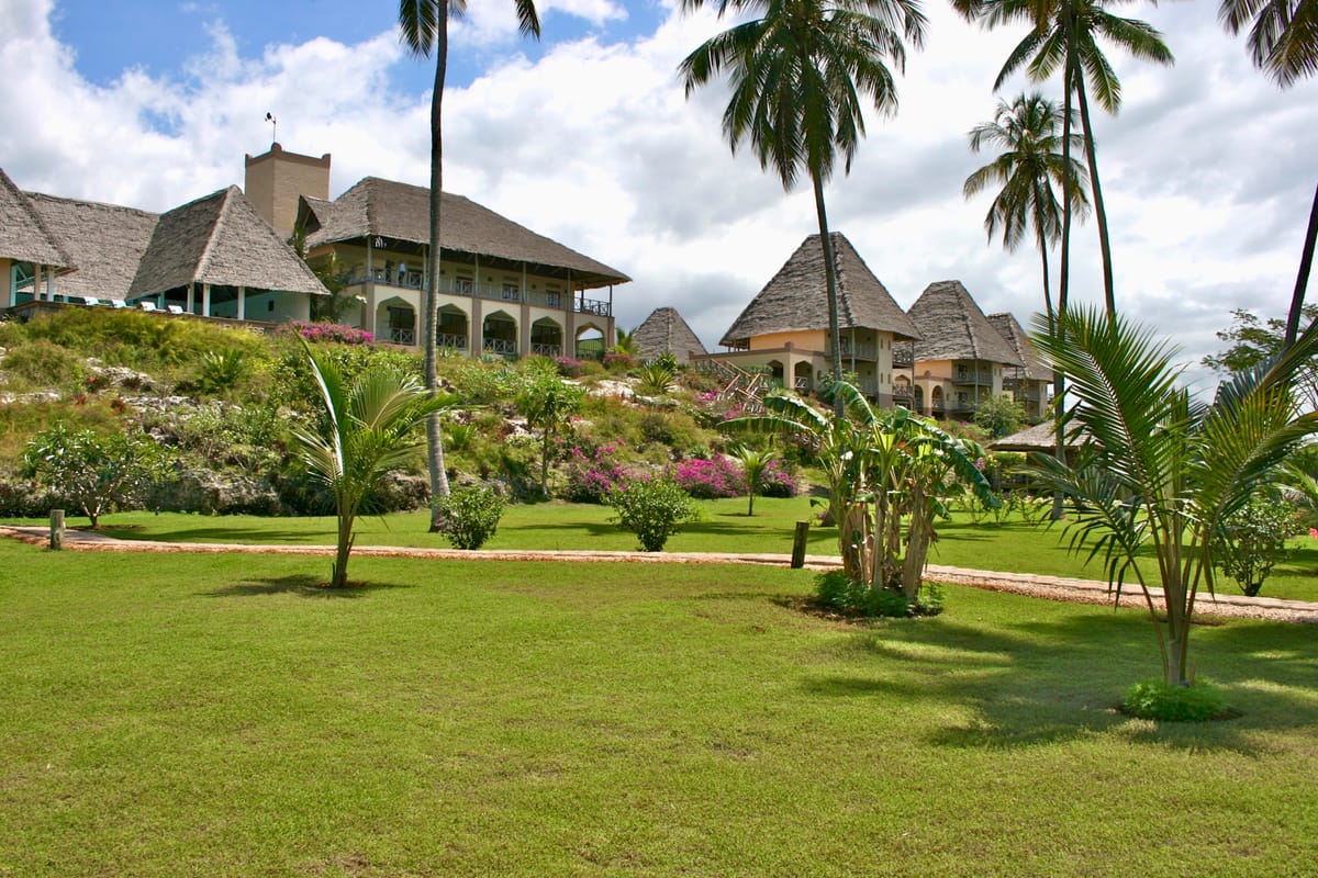 A green grass lit by bright sunlight with towering palm trees and hotel buildings in amongst flowers.
