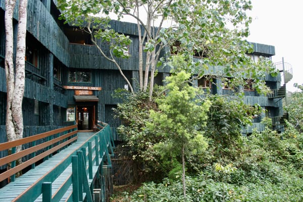 A multilevel hotel sits behind trees ad foliage with a wooden walkway to the entrance.