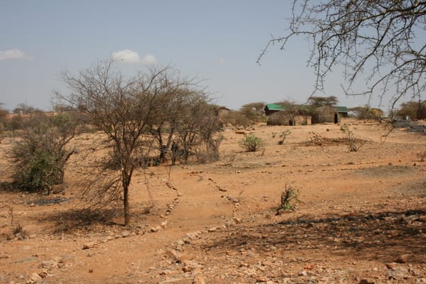 A dusty path marked by stones weaving to a collection of temporary stick buildings.