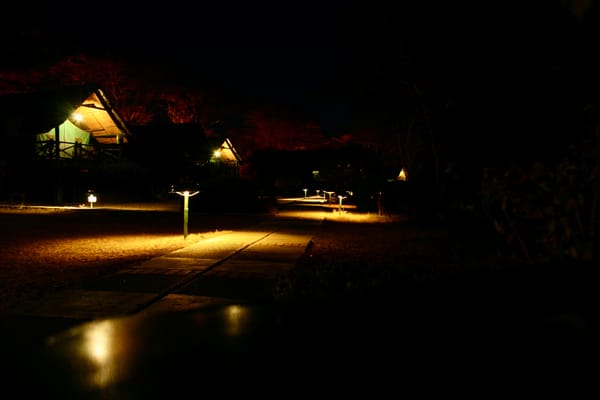 A subtly lit row of huts along a dark path