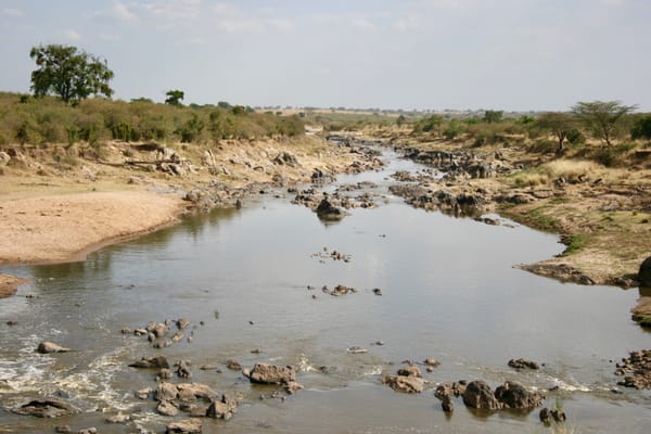 A Rocky river with wide shallow banks perfect for a migratory crossing in Africa.