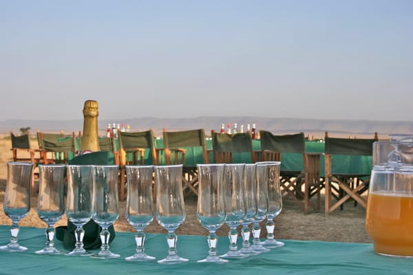 Champagne flutes and a bottle set up on a green table cloth with African scenery in the background.