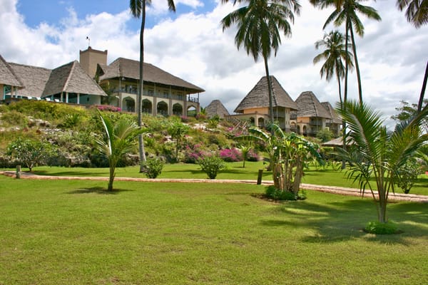 A green grass lit by bright sunlight with towering palm trees and hotel buildings in amongst flowers.