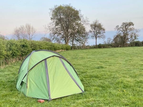 A modest green dome tent stands alone near the hedgerow in a luscious field. 