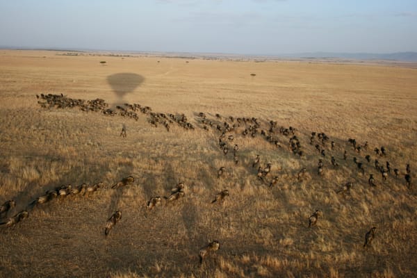 A Balloon with a View